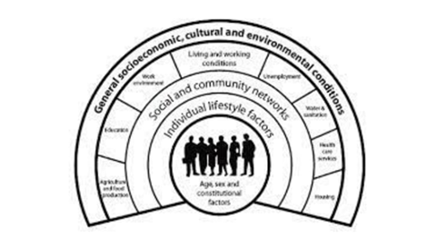 The concept of WSP's population cohort model